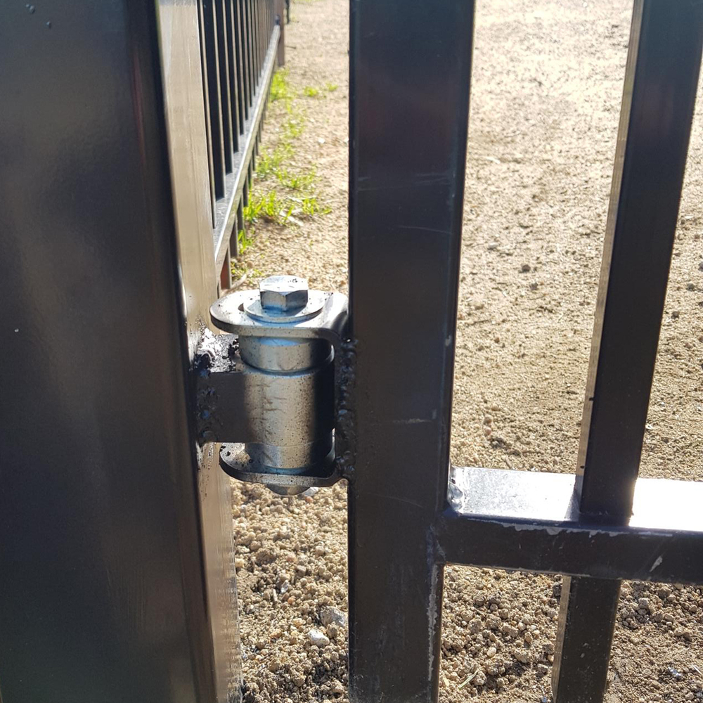 Image: No description